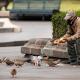 Men wearing a mask (to protect from COVID-19) sitting on a park bench in Quito Ecuador feeding birds