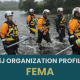 fema_org._thumbnail.png